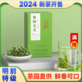 赋雅轩2024新茶绿茶，特级毛尖毛峰明前嫩芽四川雅安蒙顶山口粮茶叶