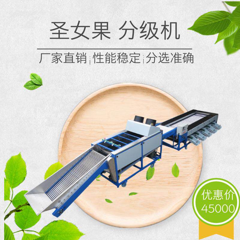 樱桃分级机圣女果选果机清洗风干分选设备果蔬水洗风干机械