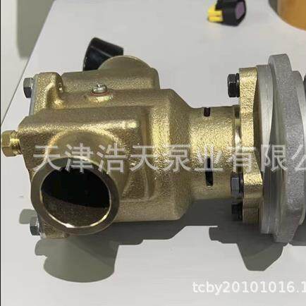 橡胶叶轮泵344089 267373 246489 G970P G906P海水清水叶轮泵