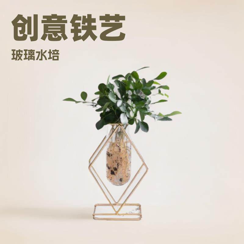 创意铁艺花玻璃瓶家居摆件透明插干花水培绿植花器装饰轻奢风花瓶