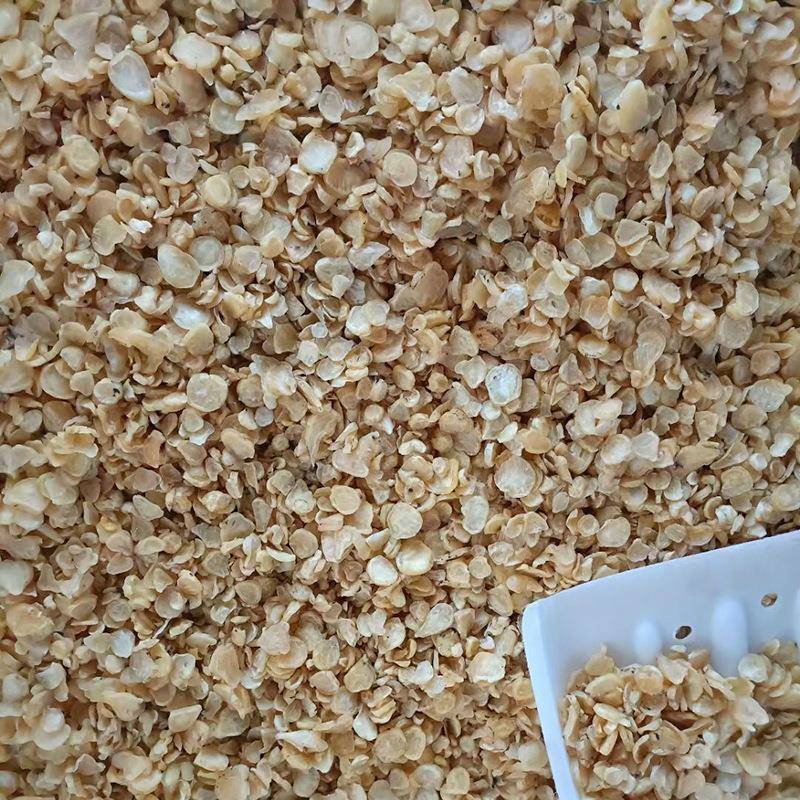云南中草药附片蒸锅中药附子蒸锅高温高压附子蒸锅全自动杀菌釜