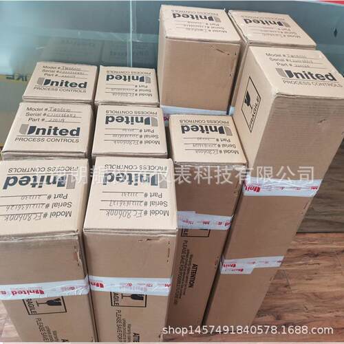 热电偶马拉松碳王(CbonKing)氧探头TW08010热处理专用探头
