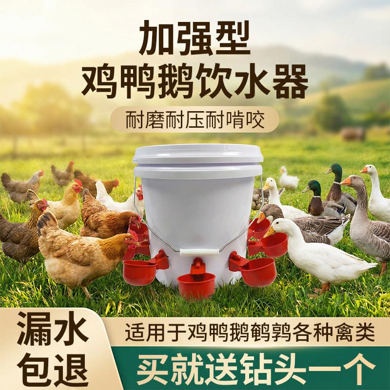 家禽饮水器鸡用自动饮水碗鸡鸭鹅喝水碗鹌鹑小鸡饮水壶喂鸡水神器