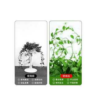 花藤固定器爬上爬墙上爬藤杆绿植攀爬夹子墙上无痕挂钩强力粘
