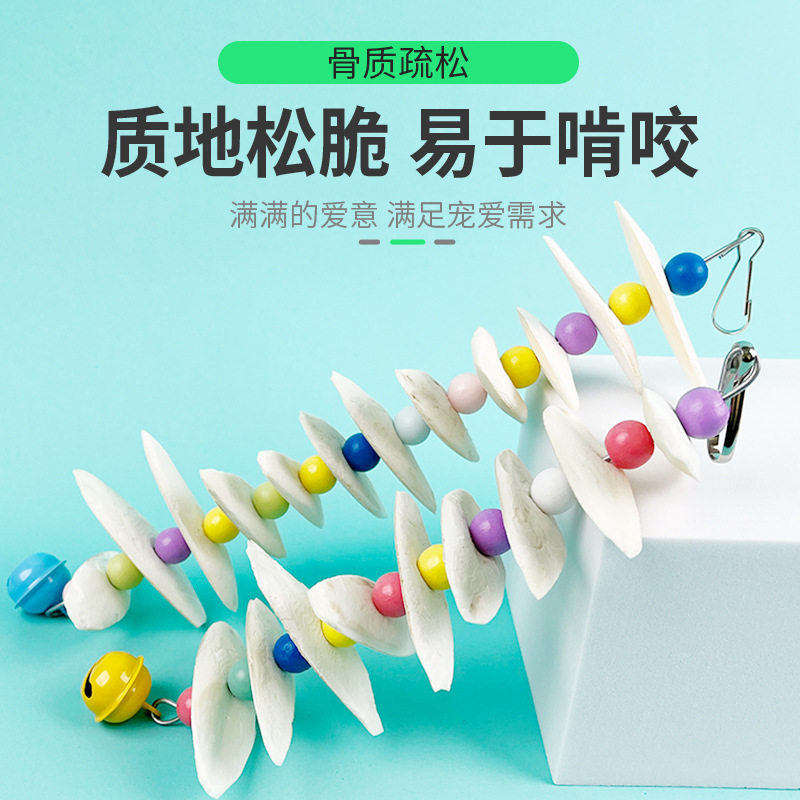 墨鱼玄凤虎皮牡丹鹦鹉造景装饰
