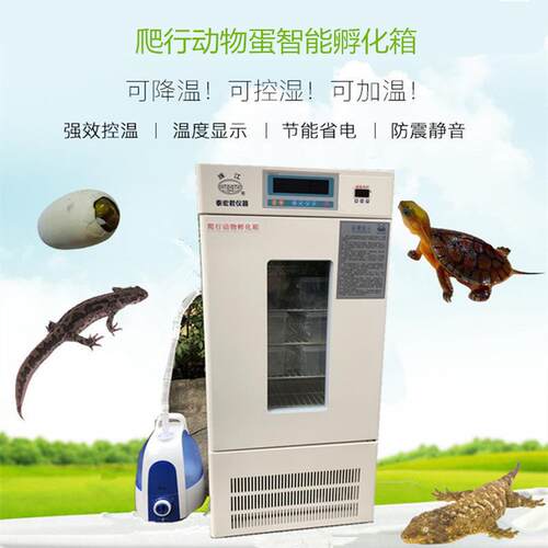爬行动物孵化箱FHX-400玉米豹纹守宫孵化箱 守宫蜥蜴爬宠孵化箱