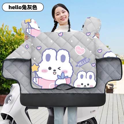 防水电车加厚风罩电动车小型春秋冬季挡风风挡防女电瓶防寒被绒加