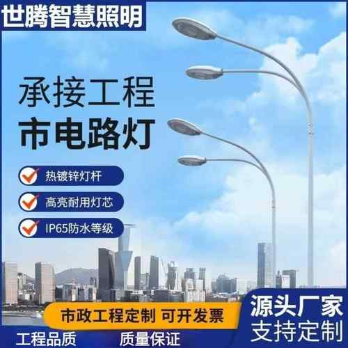 LED市电路灯市政高杆高亮户外防水路灯6米8米10米城市照明路灯杆