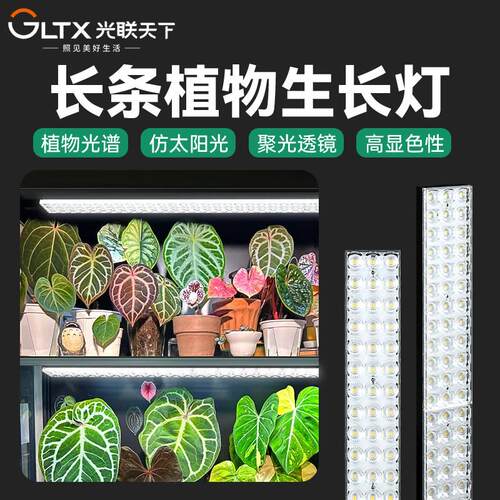 光联天下植物生长灯热植补光灯全光谱彷自然光花架植物柜长条排灯