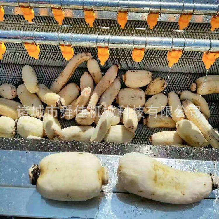 中药材天麻去泥毛辊清洗机杏仁软毛刷毛辊清洗机干果清洗机
