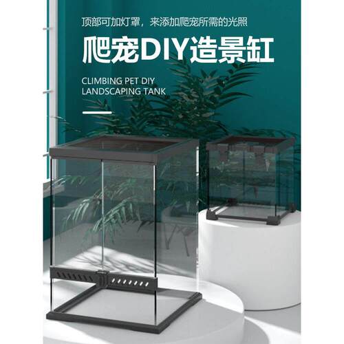 爬虫玻璃缸雨林缸爬缸寄居蟹饲养缸守宫蜥蜴蛇角蛙蜘蛛爬宠造景缸
