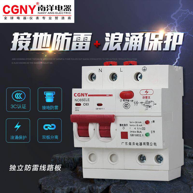 广东南洋电器漏电保护器家用总开关防雷浪涌电热水器断路器220V63