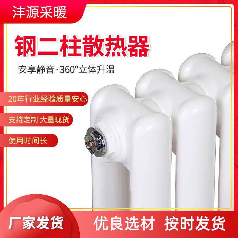 低碳钢二柱散热器家用钢制水暖壁挂立式水蒸汽暖气片取暖器