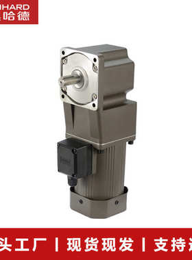 雷奥减速电机用于污水处理设备转角哈德60w36rt直角电机比电机厂