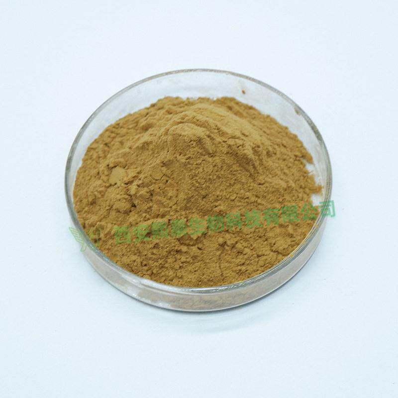 新款直销鼠尾草酸60% 熙泰生物 迷迭香提取物 鼠尾草浓缩粉 包邮1