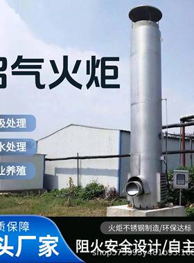 生活垃圾填埋场600立方内燃式沼气火炬全封闭沼气火炬养殖场工程