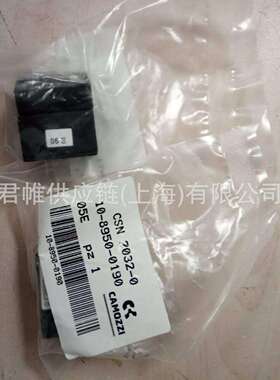 Camozzi磁性开关CST-220