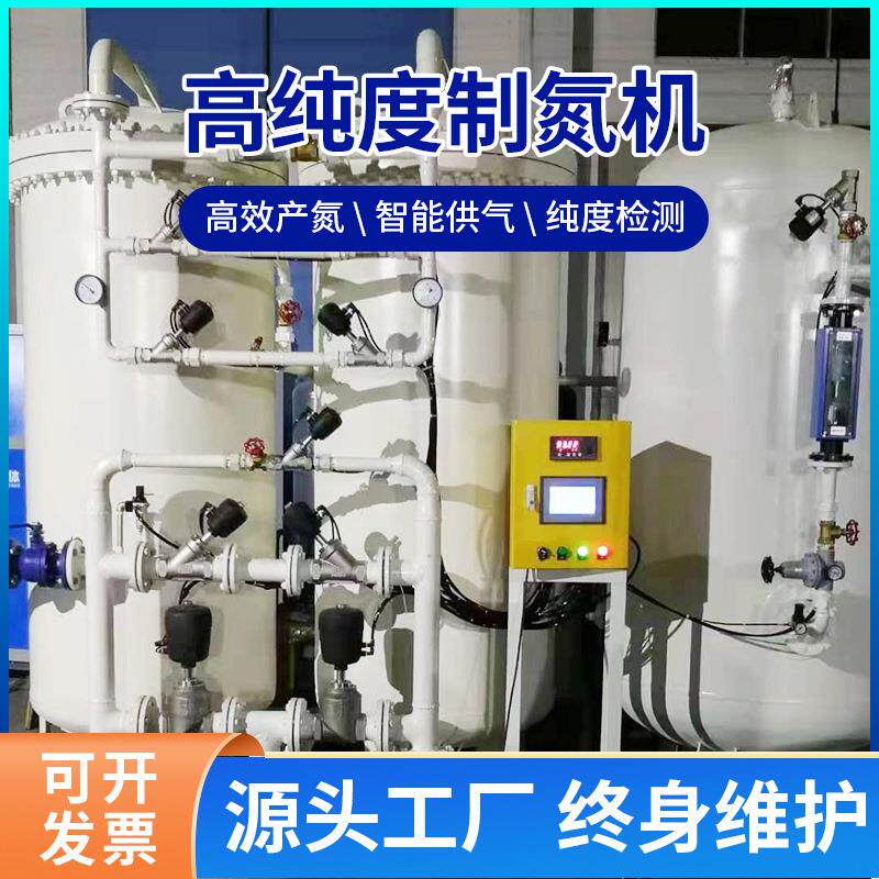 食品包装氮气保鲜制氮机蔬菜零食包装机用氮气机PSA制氮设备工厂