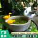 户外花园庭院摆件鸭子水培蜗牛花盆树脂雕塑田园创意装 饰造景摆设