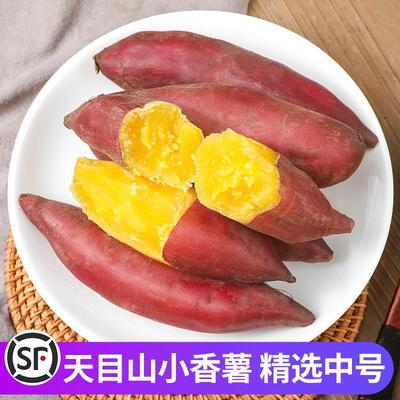 临安天目山小香薯正宗板栗红薯新鲜农家自种小番薯地瓜山芋旗舰店