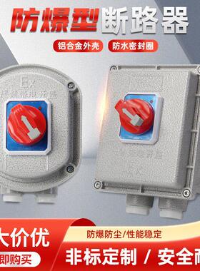 防爆断路器2P/3P 防爆空气开 关10A25A32A63A 控制箱漏电保护空开