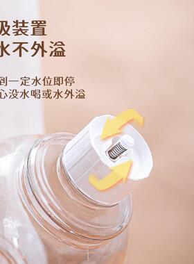 pet automatic feeder food bowl dog cat water dispens出口香港