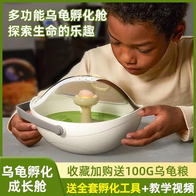 乌龟蛋小乌龟可孵化成长宠物活物饲养箱观察舱儿童玩具科学孵蛋器