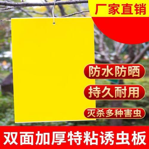 Double-sided sticky insect trap boards for fruit flies, idea