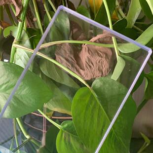 青岛PC耐力板青岛聚碳酸酯板加工青岛PC耐力板耐力板加工