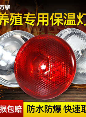 保温灯养殖场专用小鸡育雏取暖灯养猪场用保暖灯烤灯加热取暖灯泡