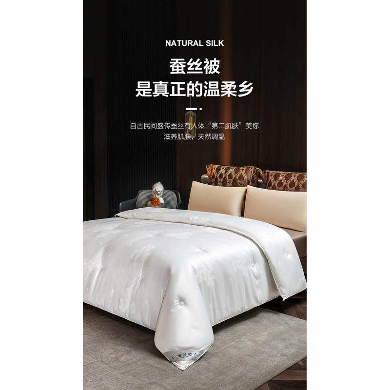 批发被被100双人棉被被桑蚕丝空调二合一bg54被被春秋子母冬蚕丝