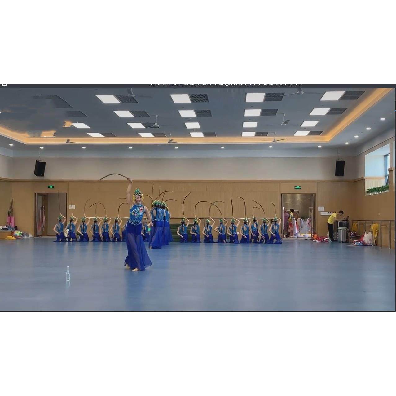 高档国粉韵春小华蹈服戏服花旦俏花旦演出服红娘表演服墨春秋舞服