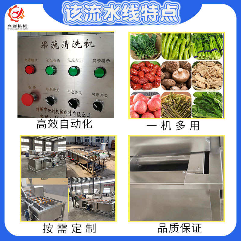 全自动果蔬清洗机大叶蔬菜气泡清洗流水线西红柿洗菜机商用流水线