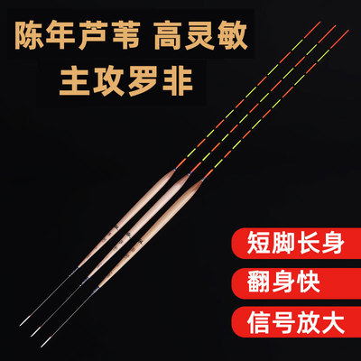 罗非鱼芦苇浮专用纳米灵敏浮漂