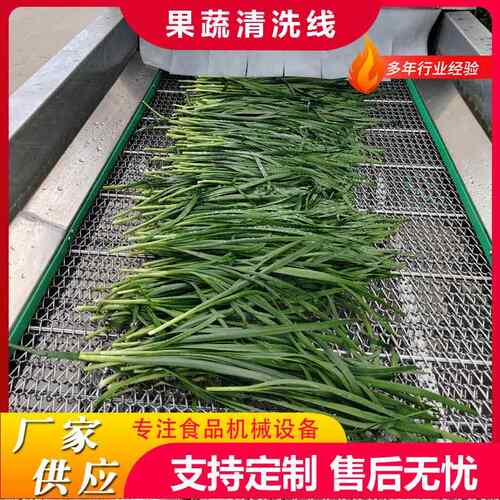 韭菜气泡清机 全自动无死角香葱清洗机水浴式清洗流水线设备