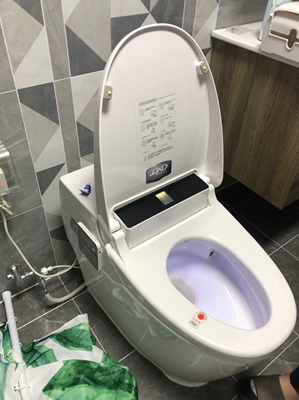 德希顿智能马桶怎么样?价格为何偏低?靠谱吗?