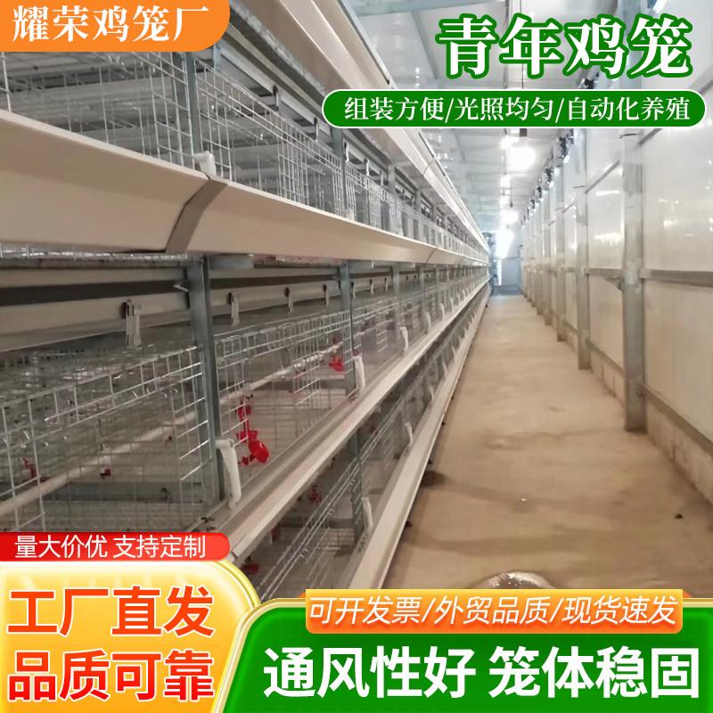 青年鸡笼层叠式育雏养鸡设备多层阶梯式蛋鸡笼高密度养殖鸡笼子
