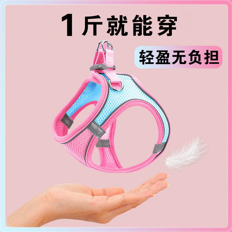 小体犬幼犬专用牵引绳超小体约克夏胸背茶杯犬1斤小号小鹿犬狗狗