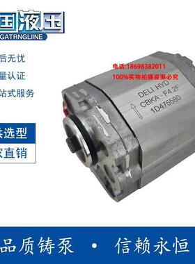 DeLi HYD动力单元齿轮泵CBKA-F3.2/3.7/4.2/5/6/8 AF BF CF GF FD