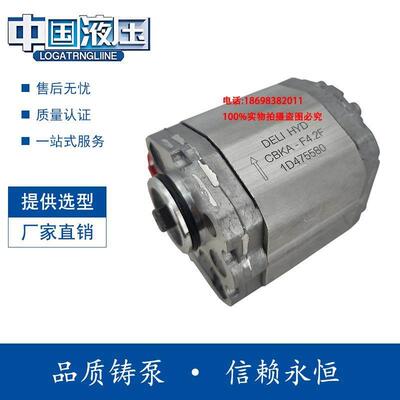 DeLi HYD动力单元齿轮泵CBKA-F3.2/3.7/4.2/5/6/8 AF BF CF GF FD