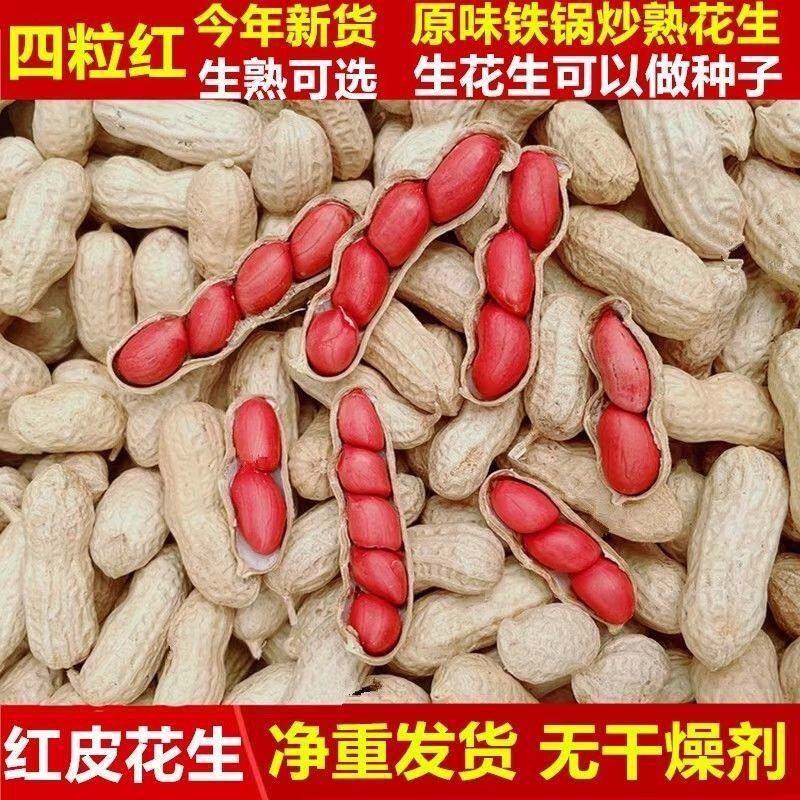 东北红皮花生25年农家自种新鲜晒干带壳熟四粒红原味花生米炒年货