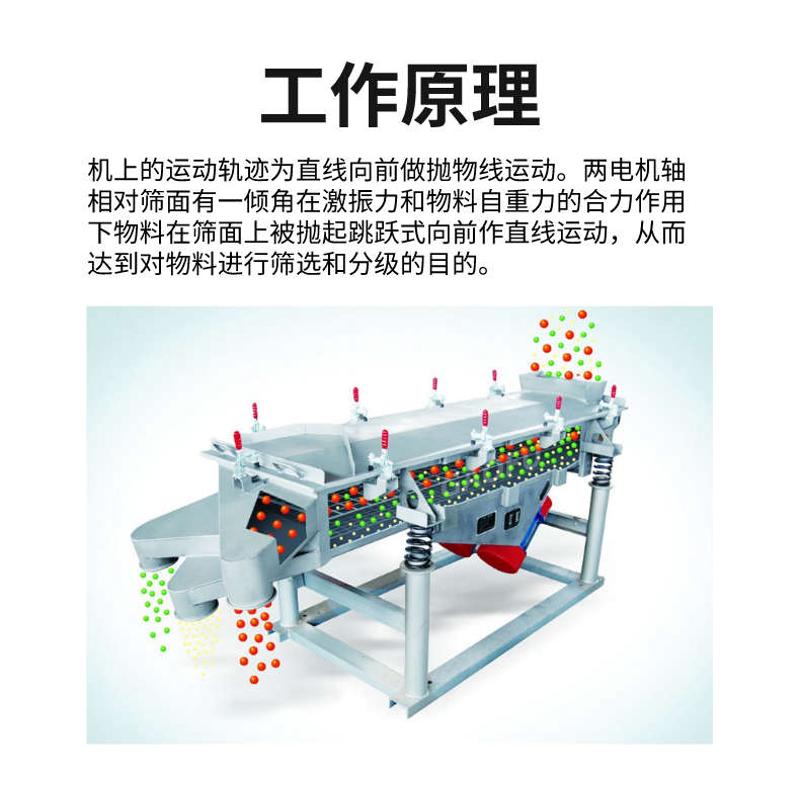 小型直线筛颗粒分选筛振动分选机多层分振动分级筛枸杞分级筛选机