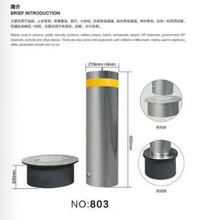 大使馆机场贵宾通道门口升移动降柱 体育馆别墅步行街不锈钢路障