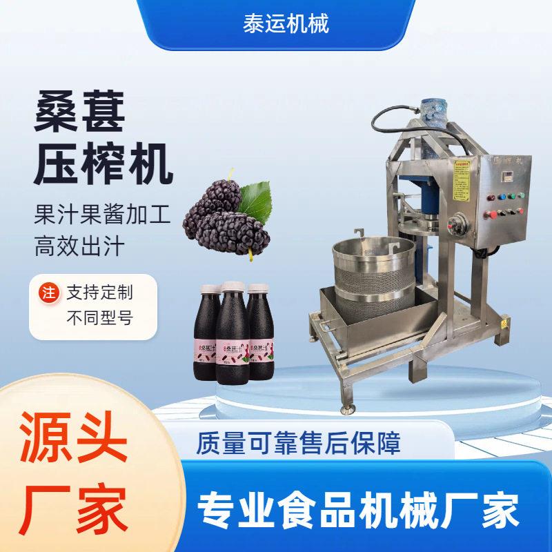 全自动桑葚汁压榨机桑子桑果自动升降压榨设备商用桑仁果汁压汁机