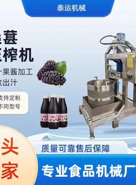全自动桑葚汁压榨机桑子桑果自动升降压榨设备商用桑仁果汁压汁机