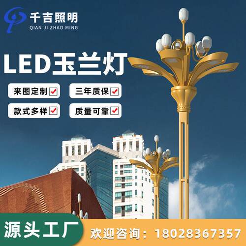 玉兰灯市政广场杆景观灯8/12米景区led户外灯工程道路景观路灯