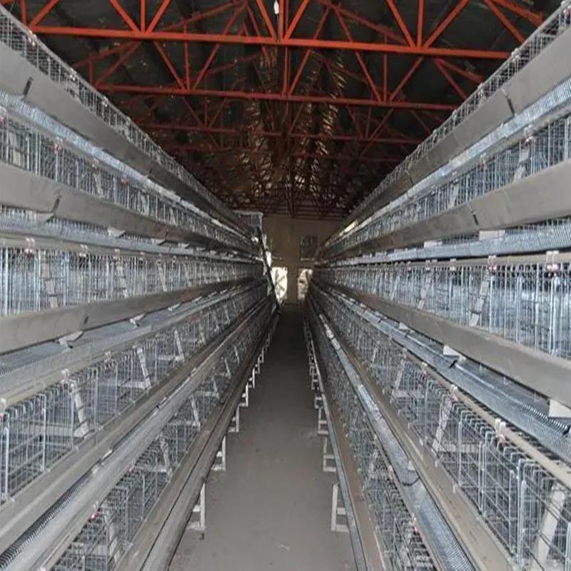 养殖场鸡舍自动清洗机器人鸡笼智能清洗机猪场自动行走高压清洗