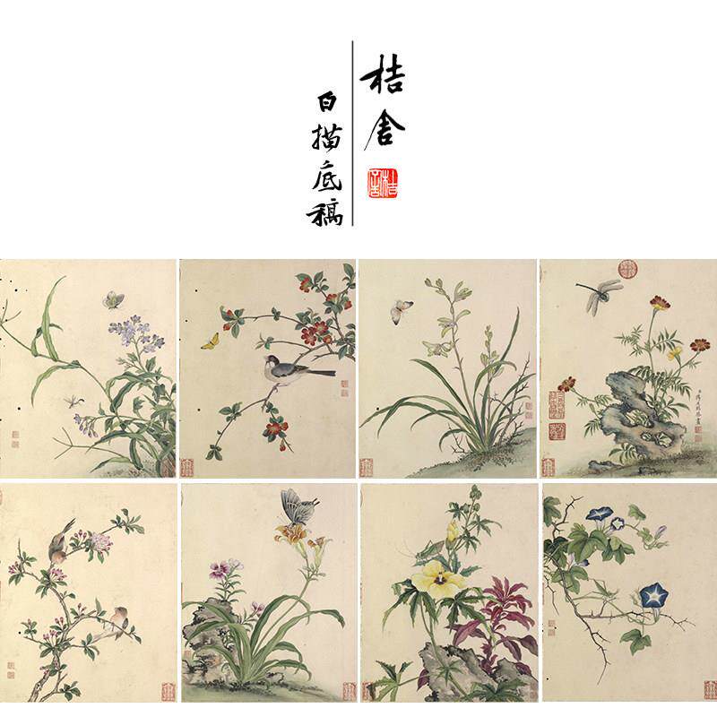 【无步骤】蒋廷锡工笔画白描底稿花卉虫草图册一套十二幅初学者临