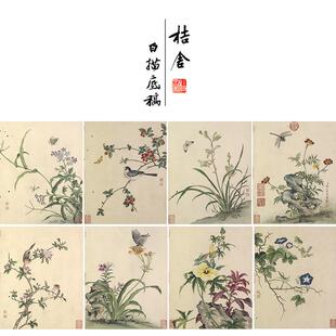 【无步骤】蒋廷锡工笔画白描底稿花卉虫草图册一套十二幅初学者临