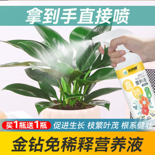 金钻营养液专用肥室内盆栽植物营养肥料水培白掌绿植用红掌水溶肥